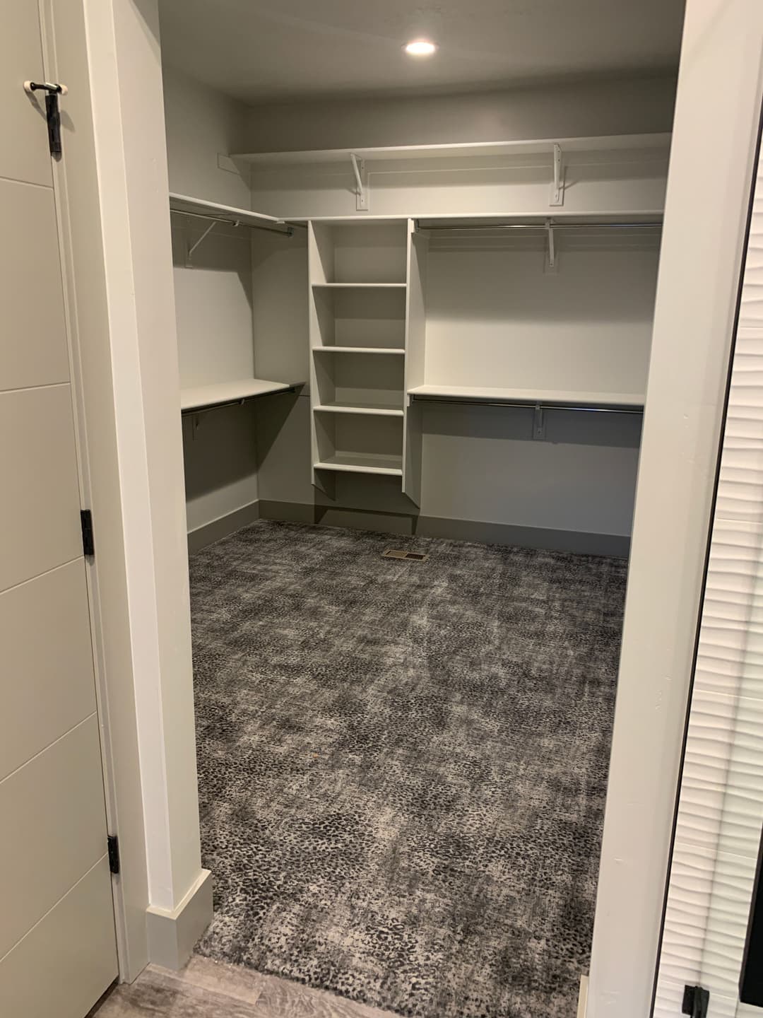 Spacious modern closet with built-in shelves and gray carpet, featuring organized storage options.